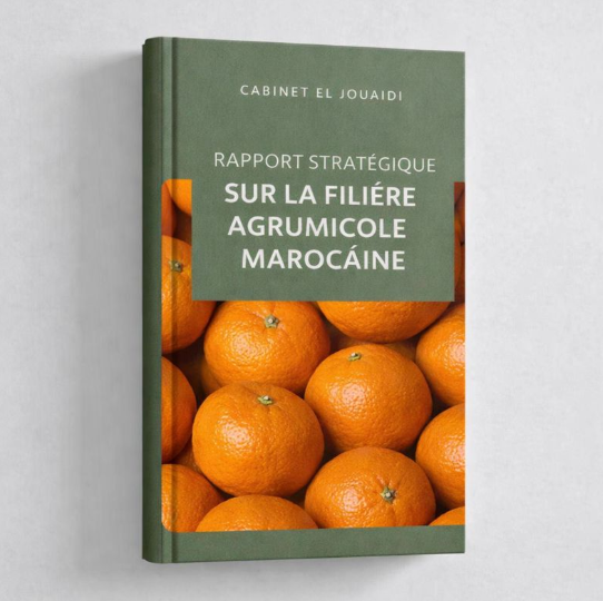 Rapport stratégique sur la filière agrumicole marocaine
